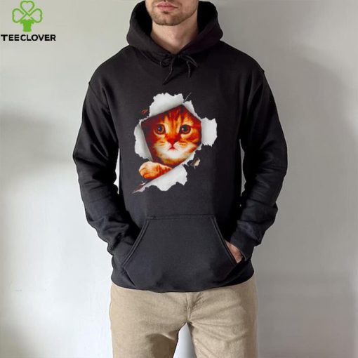 Cat Torn Cloth hoodie, sweater, longsleeve, shirt v-neck, t-shirt