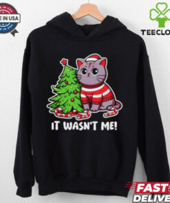 Cat it wasn’t me Christmas tree Xmas shirt