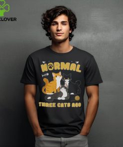 Cats 365 I Was Normal Three Cats Ago Funny Cat Lover Pullover Hoodie shirt