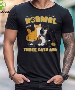 Cats 365 I Was Normal Three Cats Ago Funny Cat Lover Pullover Hoodie shirt