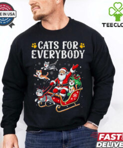 Cats For Everybody Christmas Cat Funny Xmas Men Women Santa T Shirt