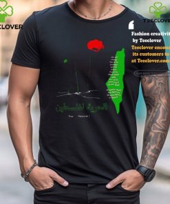 Ceasefire palestine fundraiser 2024 shirt
