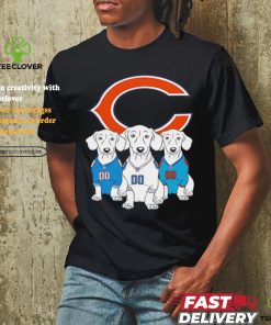 Chicago Bear Dachshund Dogs hoodie, sweater, longsleeve, shirt v-neck, t-shirt