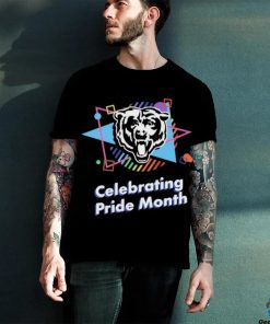 Chicago Bears Celebrating Pride Month hoodie, sweater, longsleeve, shirt v-neck, t-shirt