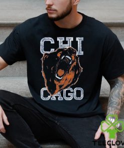 Chicago Bears Super Bowl Football Team T shirt