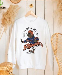 Chicago Bears The Pride and Joy of Illinois hoodie, sweater, longsleeve, shirt v-neck, t-shirt