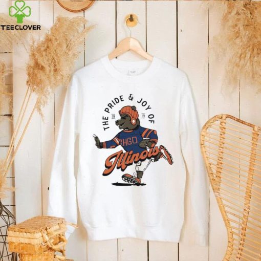 Chicago Bears The Pride and Joy of Illinois hoodie, sweater, longsleeve, shirt v-neck, t-shirt