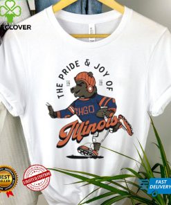 Chicago Bears The Pride and Joy of Illinois hoodie, sweater, longsleeve, shirt v-neck, t-shirt