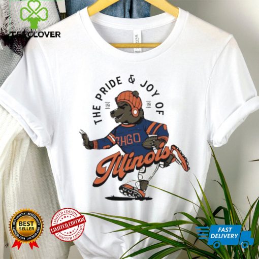 Chicago Bears The Pride and Joy of Illinois hoodie, sweater, longsleeve, shirt v-neck, t-shirt