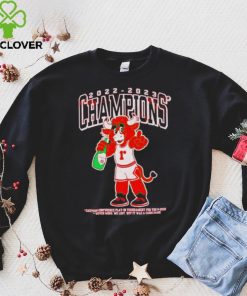 Chicago Bulls 2022 2023 Champions Eastern Conference Play in Tournament Shirt