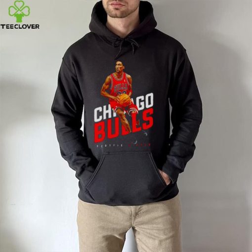 Chicago Bulls Basketball Red Art Scottie Pippen hoodie, sweater, longsleeve, shirt v-neck, t-shirt