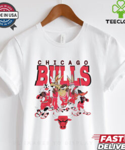 Chicago Bulls Looney Tunes characters NBA basketball shirt