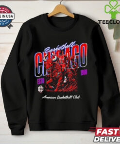 Chicago Bulls NBA Basketball Sports Apparel Design shirt