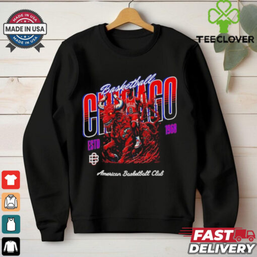 Chicago Bulls NBA Basketball Sports Apparel Design shirt