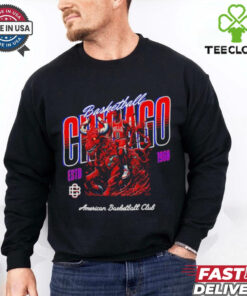 Chicago Bulls NBA Basketball Sports Apparel Design shirt