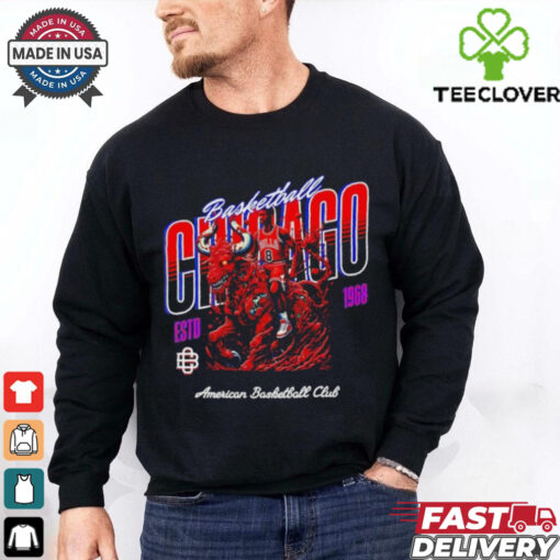Chicago Bulls NBA Basketball Sports Apparel Design shirt