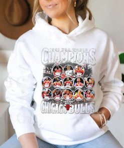 Chicago Bulls team players 1991 NBA World Champions graphic hoodie, sweater, longsleeve, shirt v-neck, t-shirt