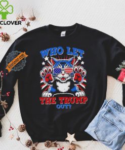 Childless cat ladies vote Harris who let the Trump out hoodie, sweater, longsleeve, shirt v-neck, t-shirt