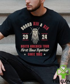 Cicada Swarm 2024 Brood XIII & XIX North America Tour 2024 T Shirt