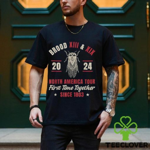 Cicada Swarm 2024 Brood XIII & XIX North America Tour 2024 T Shirt