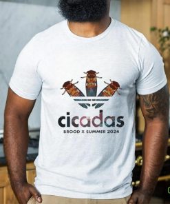 Cicadas BROOD X SUMMER Cicada 2024 T Shirt 2 Cicadas BROOD X SUMMER Cicada 2024 T Shirt