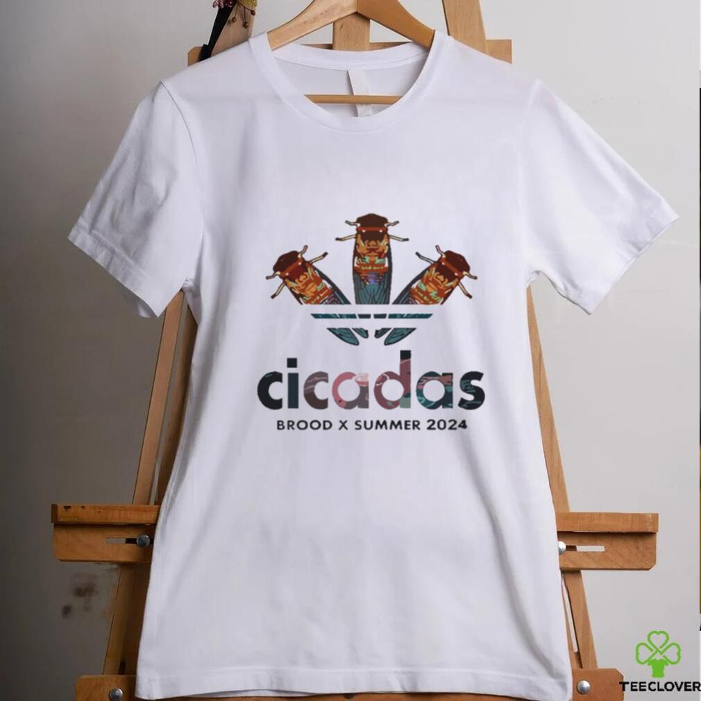 Cicadas BROOD X SUMMER Cicada 2024 T Shirt Cicadas BROOD X SUMMER Cicada 2024 T Shirt