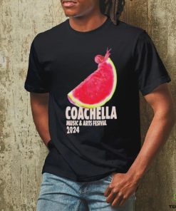 Coachella Merch Store Desert Slice 2024 T Shirt