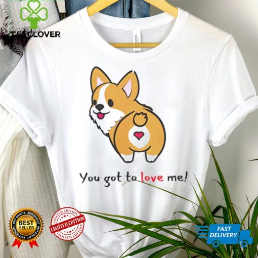 Corgi you got to love me hoodie, sweater, longsleeve, shirt v-neck, t-shirt