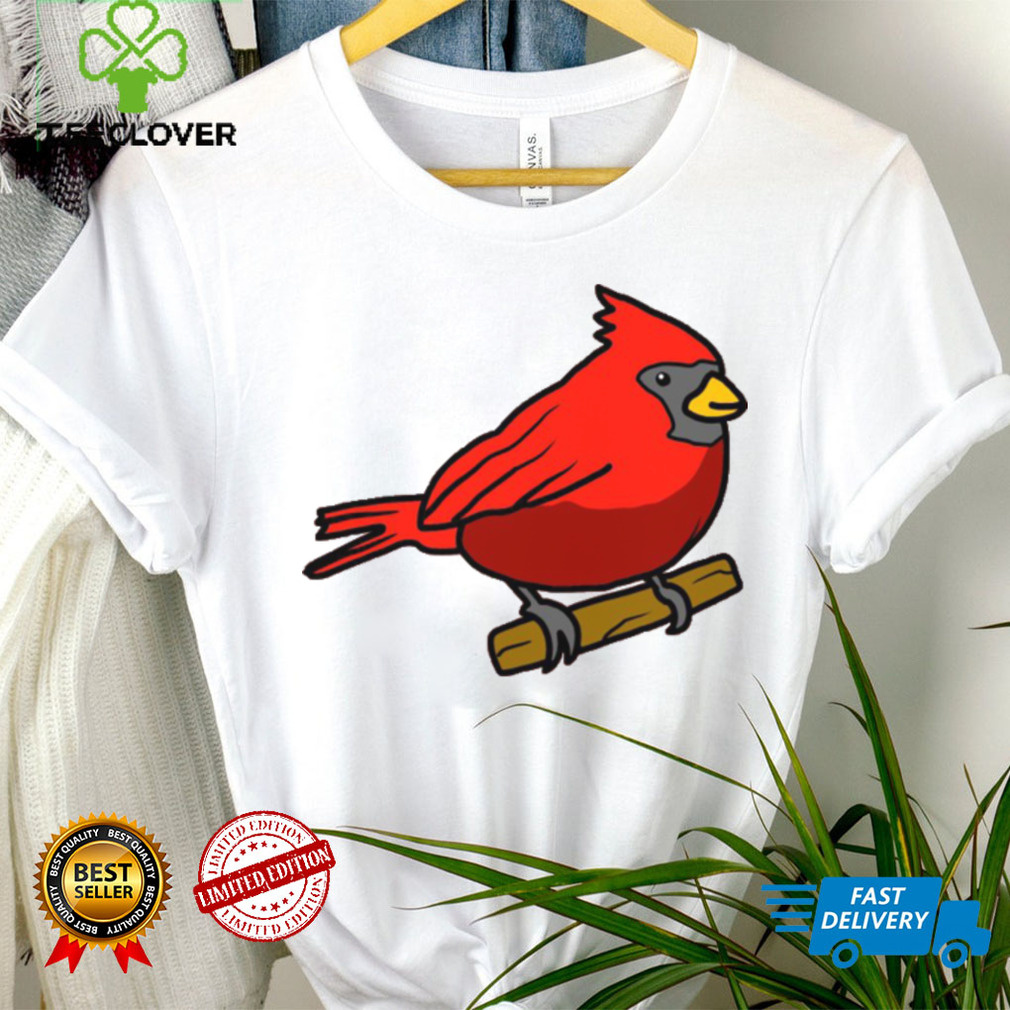 Arizona Cardinals Youth Team Logo T-Shirt - Cardinal