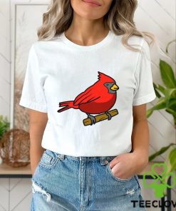 Corndoggylol Arizona Cardinals Logo Meme New shirt