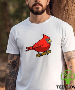 Corndoggylol Arizona Cardinals Logo Meme New shirt