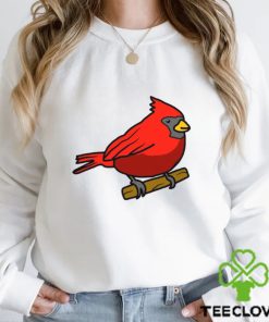 Corndoggylol Arizona Cardinals Logo Meme New shirt