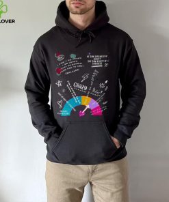 Crazy Meter hoodie, sweater, longsleeve, shirt v-neck, t-shirt