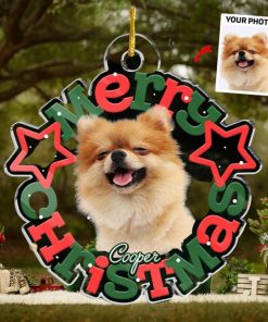 Custom Photo Official Cookie Tester   Dog & Cat Personalized Custom Ornament