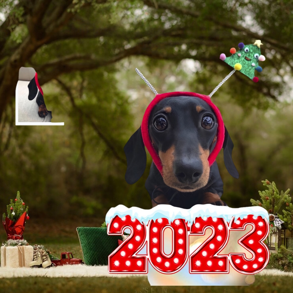 Cute Snowman Dog Customized Dog Photo Ornament Cute Snowman Dog Customized Dog Photo Ornament