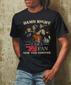 Damn Right I Am A New Kids on The Block hoodie, sweater, longsleeve, shirt v-neck, t-shirt