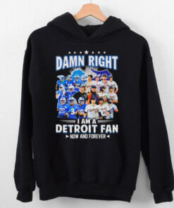 Damn Right I am a Detroit Fan Detroit Tigers Detroit Lions now and forever shirt