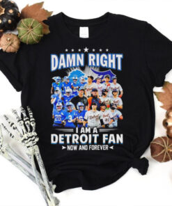 Damn Right I am a Detroit Fan Detroit Tigers Detroit Lions now and forever hoodie, sweater, longsleeve, shirt v-neck, t-shirt