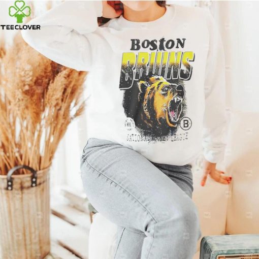 Danton Heinen Boston Bruins hoodie, sweater, longsleeve, shirt v-neck, t-shirt