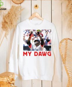 David Ortiz My Dawg Boston Red Sox shirt 1 David Ortiz My Dawg Boston Red Sox shirt