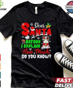Dear Santa Before I Explain How Much Do You Know Xmas Shirt