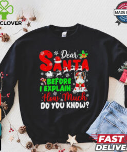 Dear Santa Before I Explain How Much Do You Know Xmas Shirt