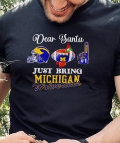 Dear Santa just bring Michigan Wolverines hoodie, sweater, longsleeve, shirt v-neck, t-shirt