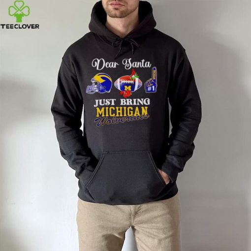 Dear Santa just bring Michigan Wolverines hoodie, sweater, longsleeve, shirt v-neck, t-shirt