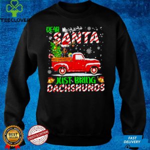 Dear santa just bring dachshunds merry christmas hoodie, sweater, longsleeve, shirt v-neck, t-shirt