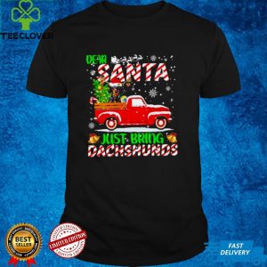 Dear santa just bring dachshunds merry christmas hoodie, sweater, longsleeve, shirt v-neck, t-shirt