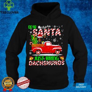 Dear santa just bring dachshunds merry christmas hoodie, sweater, longsleeve, shirt v-neck, t-shirt