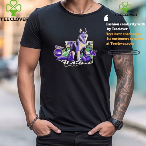 Design Washington Huskies Big Ten Touchdown Dawg T Shirt