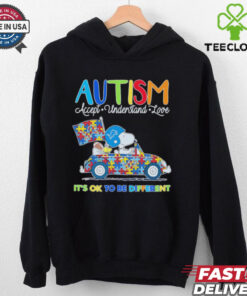 Detroit Lions Autism accept understand love it’s ok to be different shirt