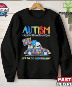 Detroit Lions Autism accept understand love it’s ok to be different shirt